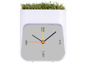   Grass