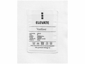  Vaillant 