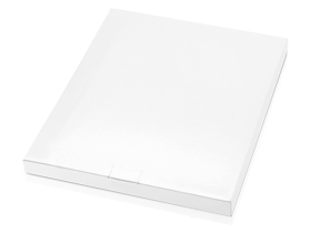    Guidon